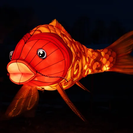 magic lanterns