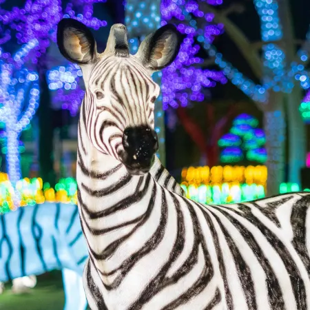 animaux